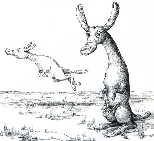 Fingeroo, from 'Halbritten's Plant-and-Animal World'