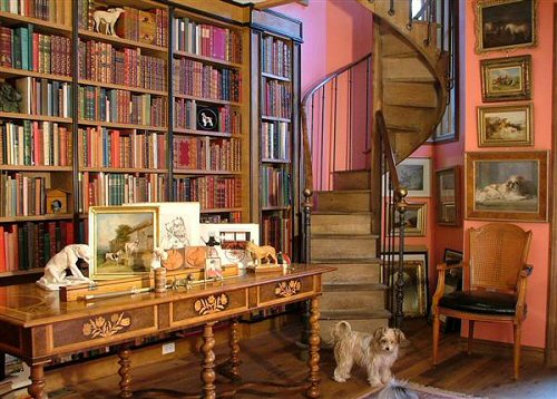 I Can Has Library? (small dog in big library)