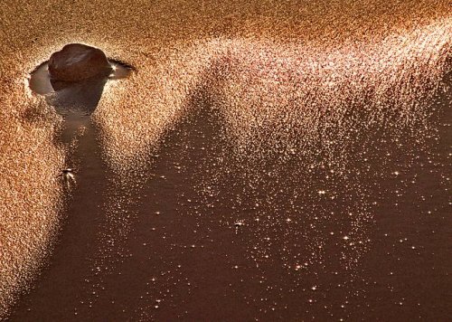 Insignificant Detail, by Piotr Moszczenski (click for original and info)