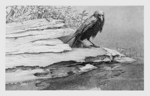Raven's Paradox, by Drew Keilback (click for original)