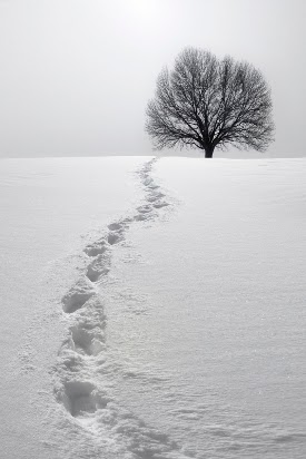 Footprints in snow