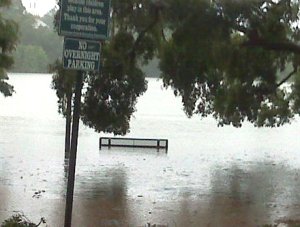No Overnight Parking: Lake Ella park benches under water No Overnight Parking: Lake Ella park benches under water