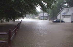 Timberlake neighborhood, by Ruben Timberlake neighborhood. Photographer Rubens caption said they need food and beer.